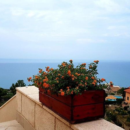 B&B Terrazze Chiaramontane Марина-ди-Пальма Экстерьер фото